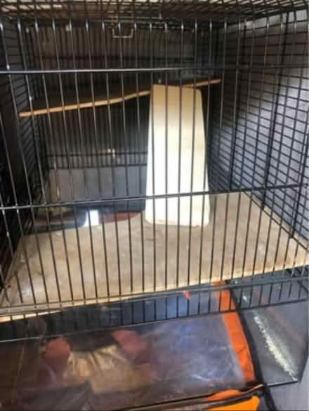 Photo of free Cage (Priory close HA48HP) #1