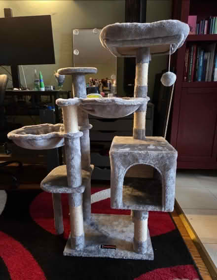 Photo of free Small cat tree (Kew Gardens) #1