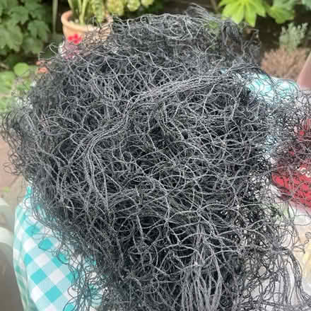 Photo of free Protective netting (Twickenham TW1) #1