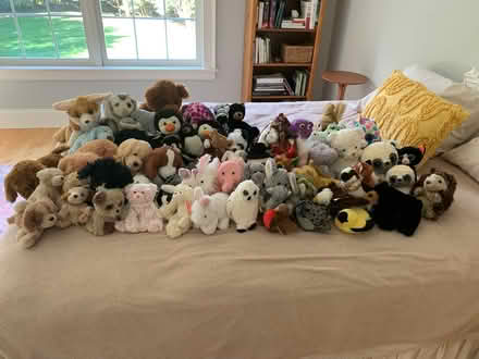 Photo of free Stuffed Animals Abundance (Bolton, MA) #1