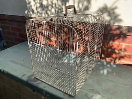 Photo of free Old cat carrier. Still in strong condition. (Great Notley CM77) #3