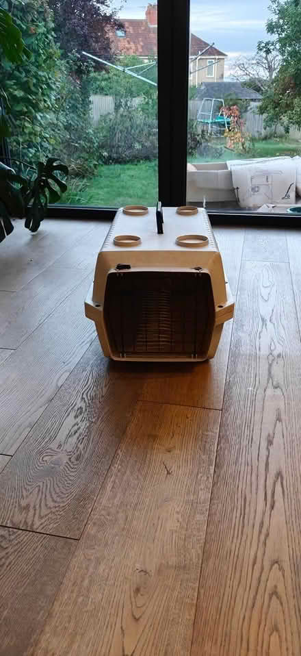 Photo of free Cat box (Knowle BS4) #1
