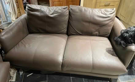 Photo of free Sofology Two seater sofa (Lyneham) #1