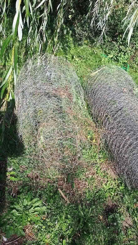 Photo of free Stock fencing, chicken wire (Ringland NR8) #4