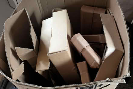 Photo of free wood scraps (Torrisholme LA4) #1