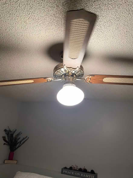 Photo of free Ceiling fan (Eagan) #1