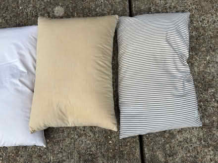 Photo of free Used feather pillows (Wimbledon SW19) #2
