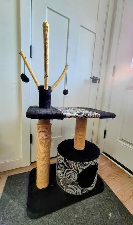 Photo of free Cute Cat Tree -- No Smoke or Pee (Meadowbrook) #1