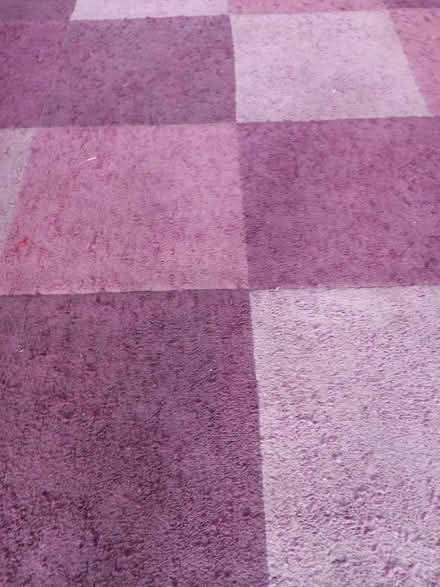 Photo of free Purple Rug (Bramcote NG9) #2