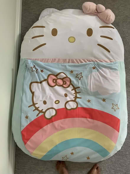 Photo of free Kitty bed for toddlers (Novi) #2