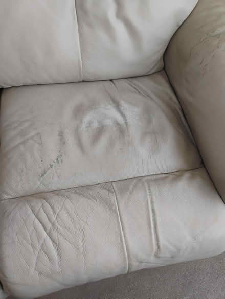 Photo of free 2 seater and 3 seater sofa (Cornwall road bexhill TN39) #2