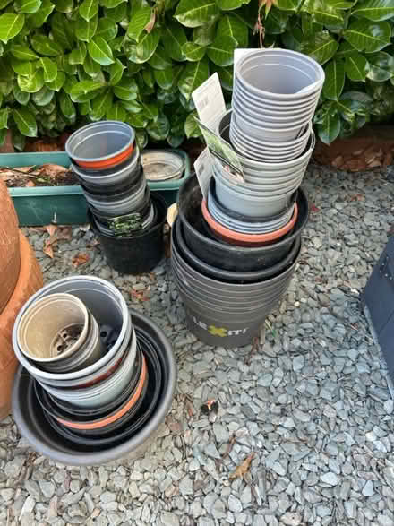 Photo of free Plastic plant pots (Berkhamsted HP4) #1