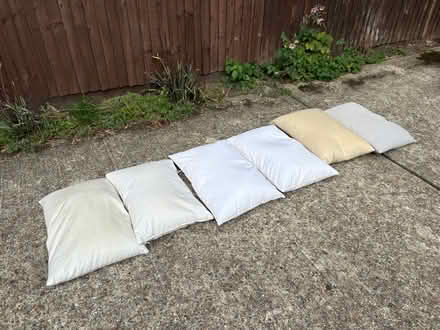 Photo of free Used feather pillows (Wimbledon SW19) #1