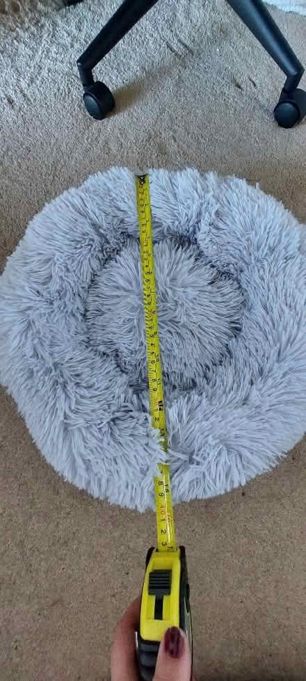Photo of free Small grey animal bed (Stubbington PO14) #1