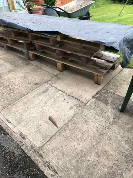 Photo of free pallets (Blacksnape BB3) #2