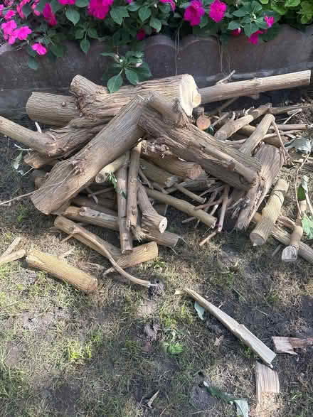 Photo of free Assorted Sized Logs (Ramsgate CT11) #1