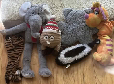 Photo of free Lot of Used Dog Toys (Port Murray, NJ) #2