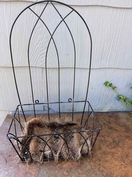 Photo of free plant holder (St. Michaels) #1