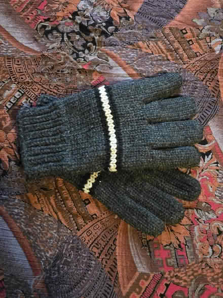 Photo of free Thick Gray Gloves - Adult (West 7th) #3