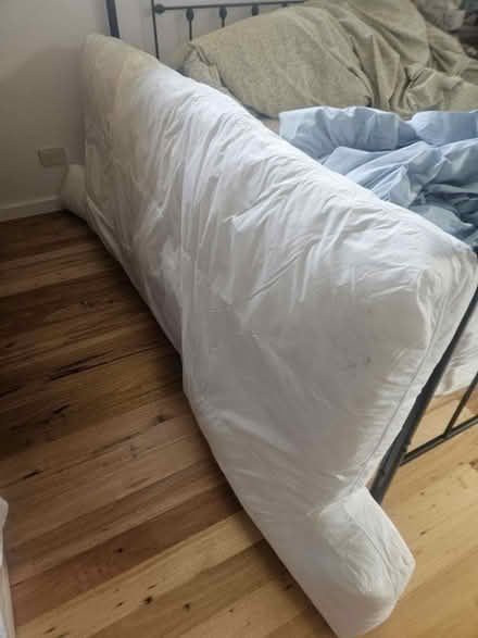 Photo of free Duck down sofa innards (Bega) #1