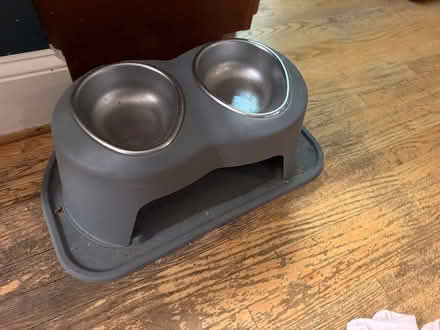 Photo of free Large dog bowl set (Roland park/Evergreen) #1