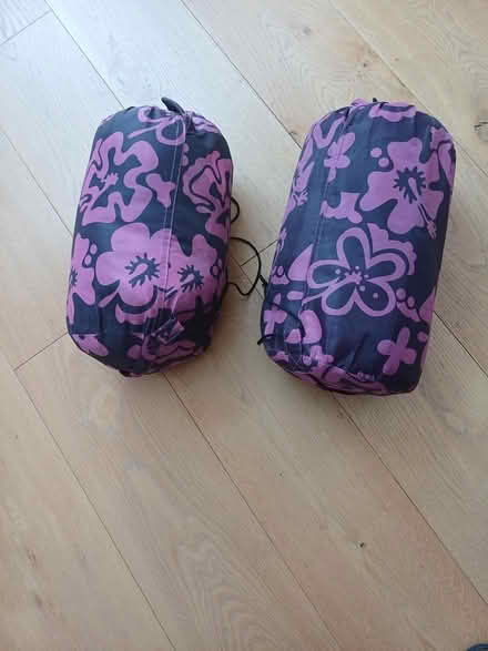 Photo of free Sleeping Bags (Sunbury in Thames. TW166NF) #1