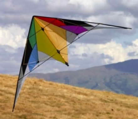 Photo of free Kite (Bexleyheath DA6) #3