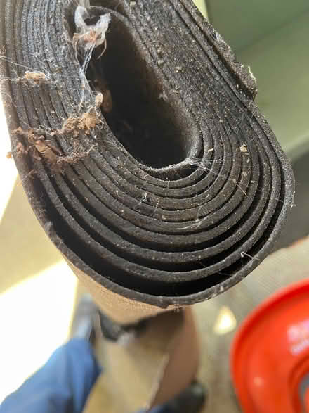 Photo of free Shed roofing felt (Denvilles PO9) #2