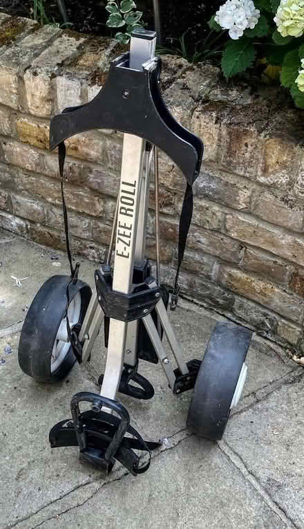 Photo of free golf trolley (Barnes SW13) #2