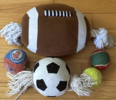 Photo of free Lot of Used Dog Balls (Port Murray, NJ) #1