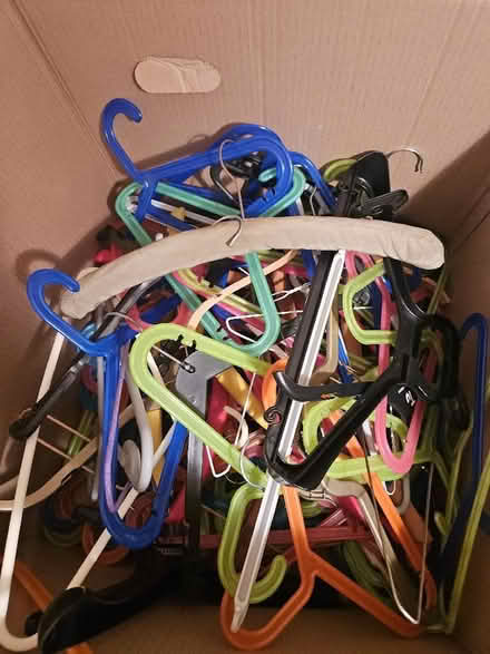 Photo of free Lots of clothes hangers! (Saint Thomas Ward EX2) #1