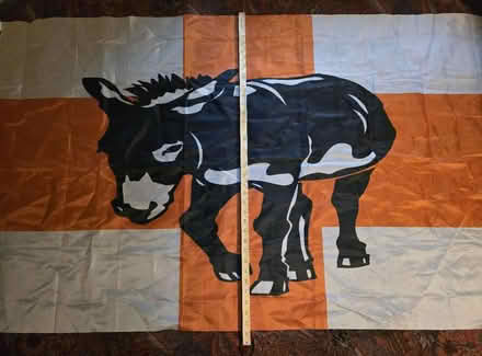 Photo of free Peaceful Valley Donkey Rescue Flag (West 7th) #3