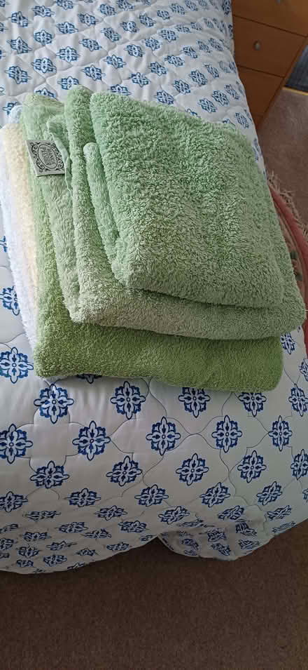 Photo of free Towels all laundered. (Knotty Ash L14) #1