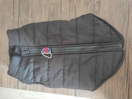 Photo of free Black dog jacket (E10 6RH) #1