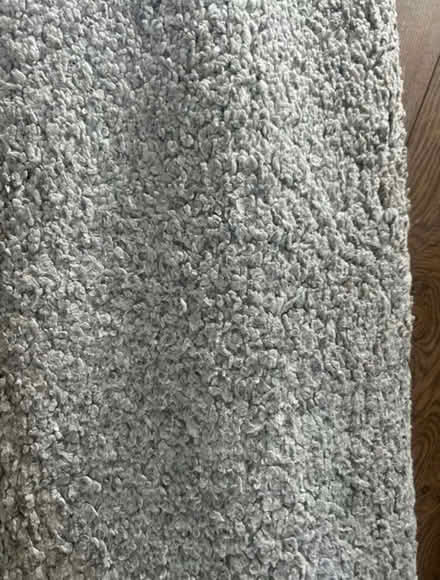 Photo of free Rug #2 (W149DX) #2