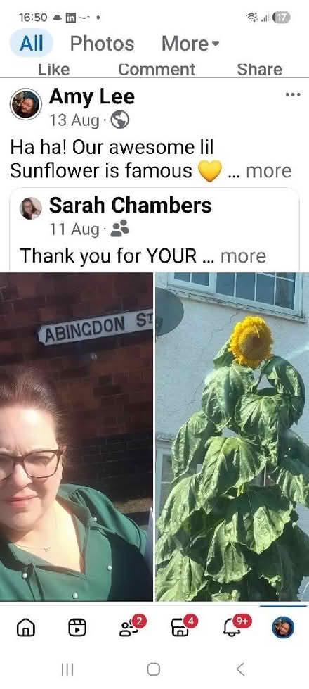 Photo of free Sunflower Seeds! (Osmaston DE24) #1