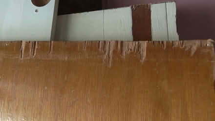 Photo of free 1960s internal door (St Albans AL4) #3