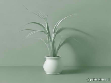 Photo of free Lots of Spider plants (Halstead CO9) #1