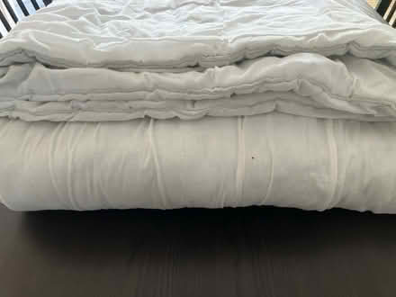 Photo of free Duvet (Northgate Village CH2) #2