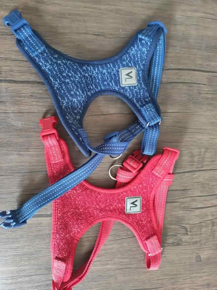 Photo of free Two dog harnesses – red and blue (E10 6RH) #1