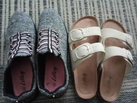 Photo of free Ladies size 8 shoes (Willesborough) #1