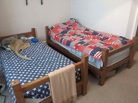 Photo of free Pine bunk bed that can also be 2 singles (Tunbridge Wells N. TN4) #1
