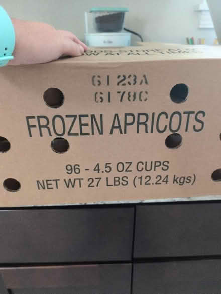 Photo of free Frozen apricot cups - TIME SENSITVE (Belmont) #1