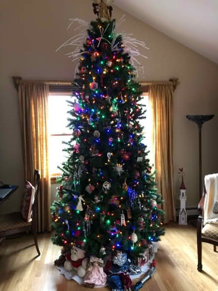 Photo of free Ten Foot Christmas Tree (New Fairfield) #1