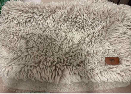 Photo of free Faux Fur Blanket (South San Jose) #1