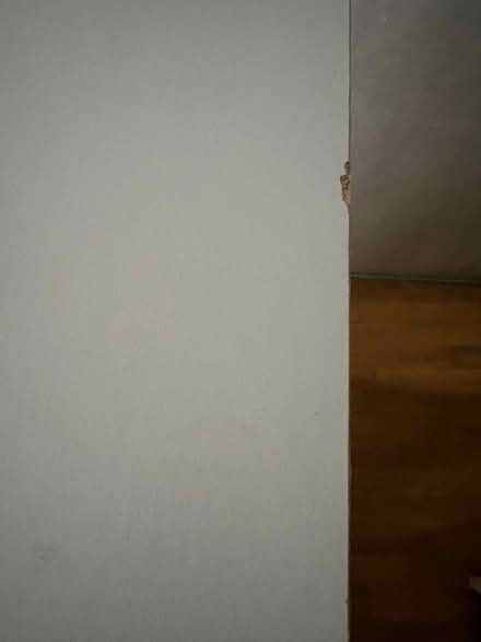 Photo of free Light grey cabinet (Rocky lane RH16) #3