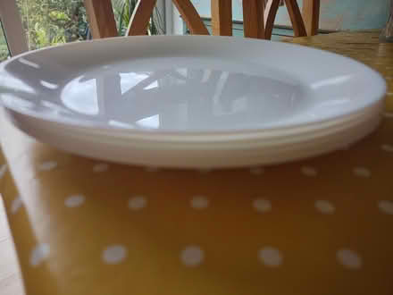 Photo of free Plates and bowls (Headington OX3) #4