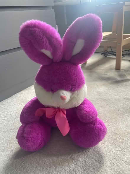 Photo of free Brand New Rabbit Plush Toy (Finchley Central, N3) #1