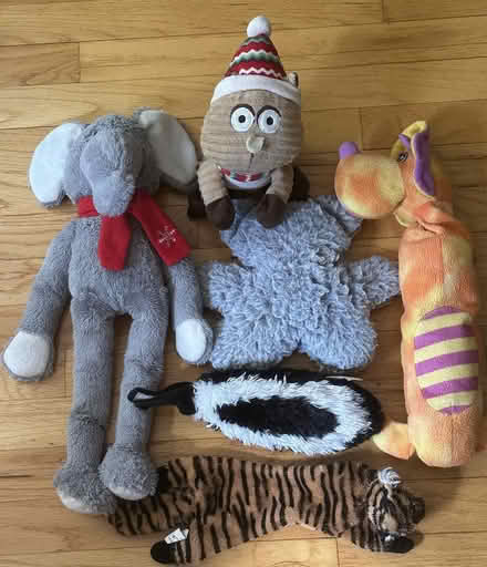 Photo of free Lot of Used Dog Toys (Port Murray, NJ) #1