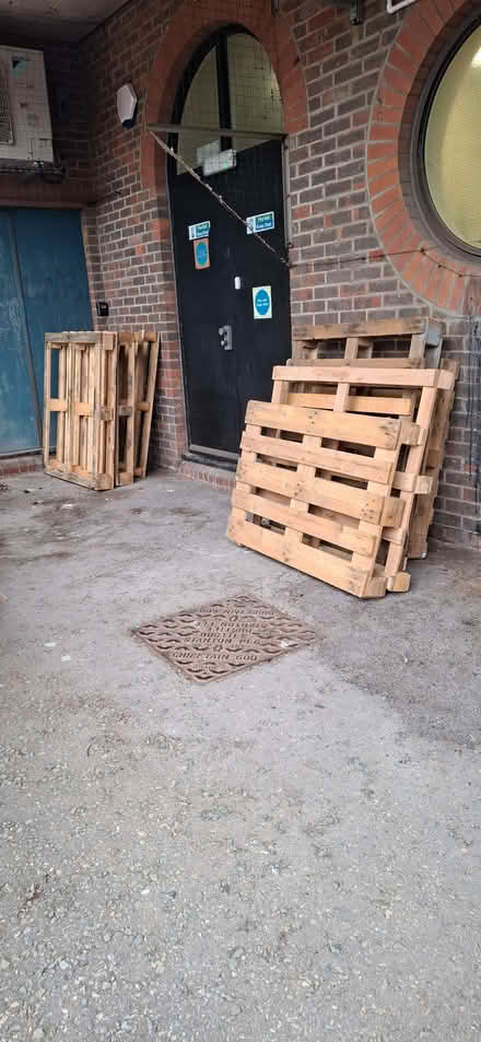Photo of free pallets (Lewes BN7) #1